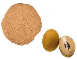 Chickoo Powder (Sapodilla)